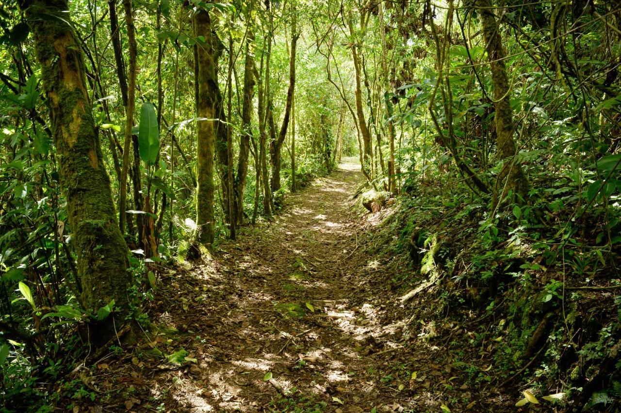 Talamanca Nature Reserve Rivas Exteriör bild