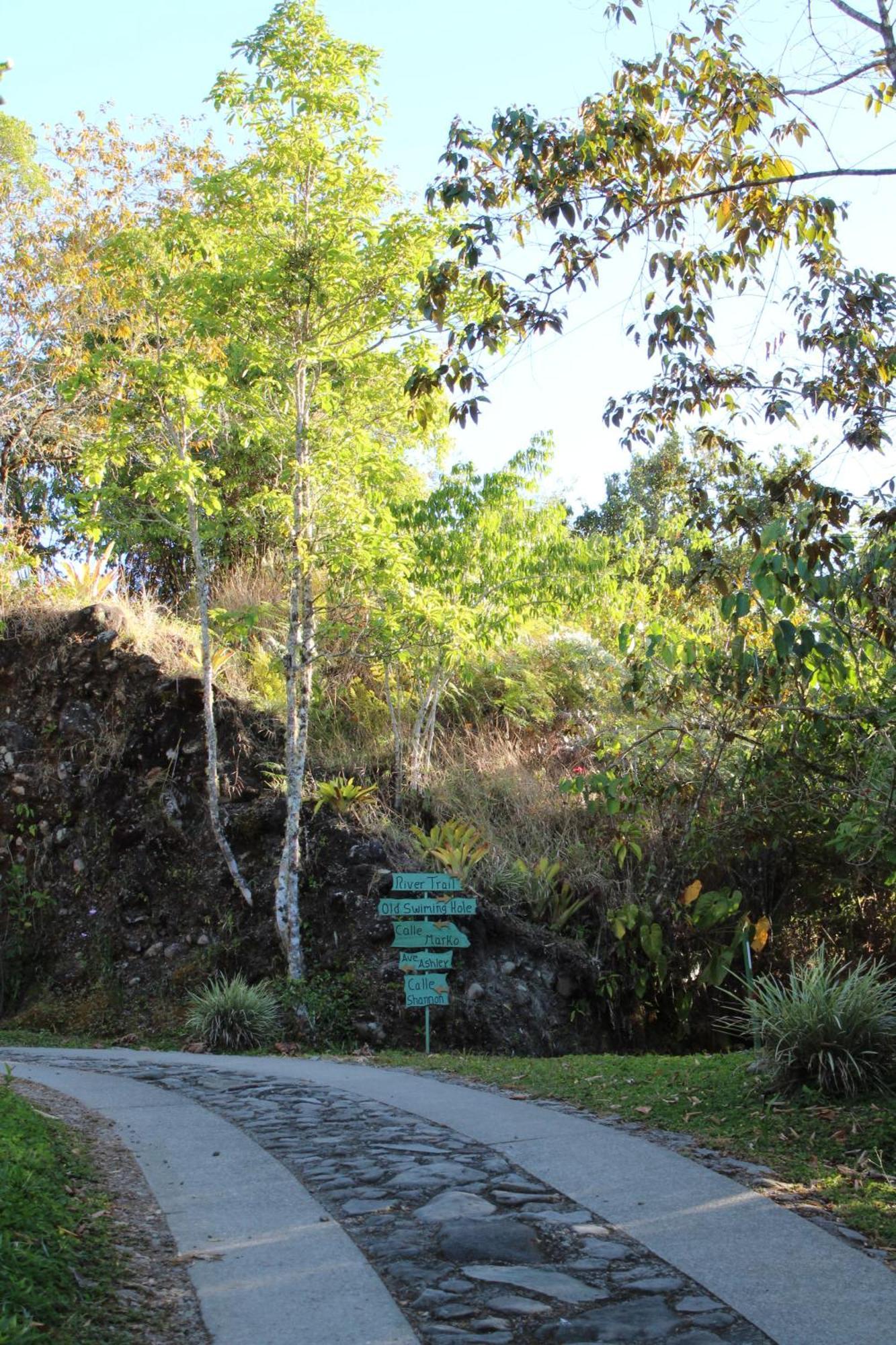 Talamanca Nature Reserve Rivas Exteriör bild