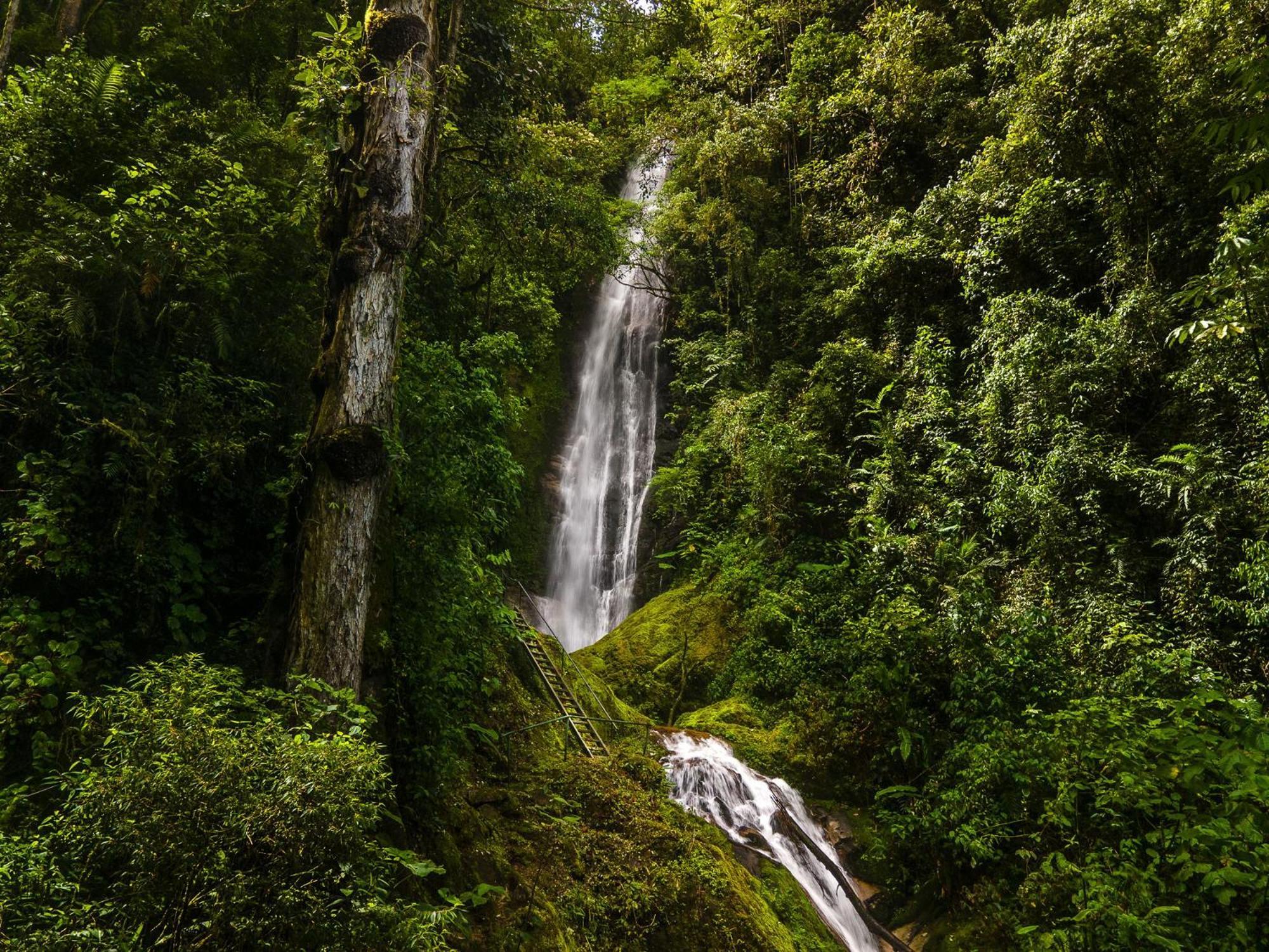 Talamanca Nature Reserve Rivas Exteriör bild