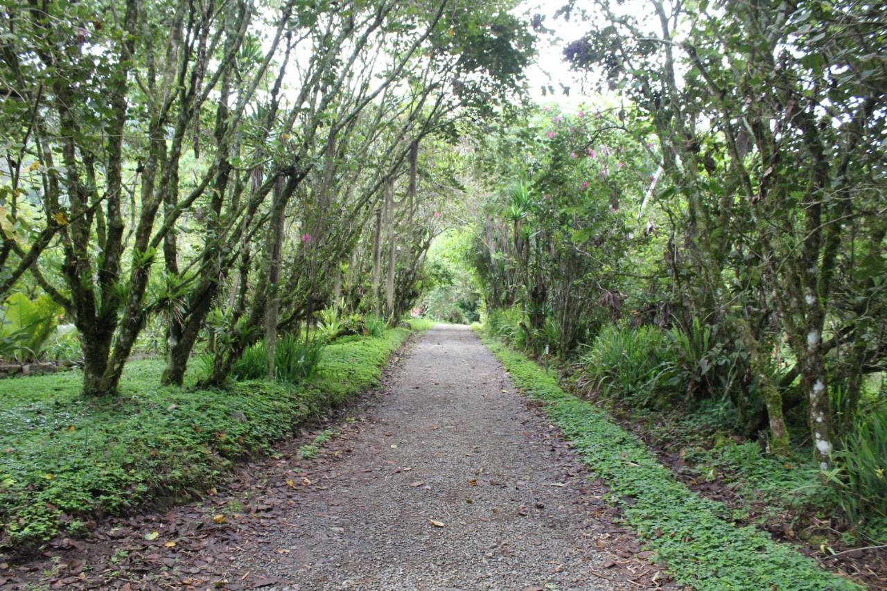 Talamanca Nature Reserve Rivas Exteriör bild